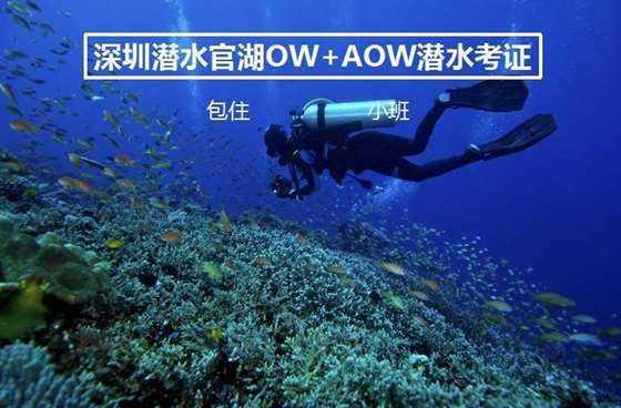 人们常说“生命在于运动”，长期不运动的人身体会发生怎样的变化？