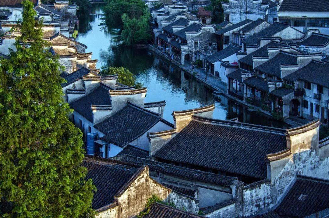【创新智城 品质金水】强服务创亮点 奋力推动人社工作再上新台阶